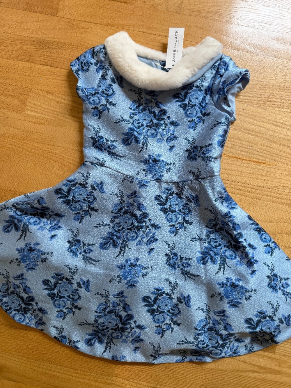 Janie and Jack Girls 7 Snow Dance Series Blue Floral Fur Collar Winter Dress
